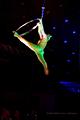 W_Circus in Harmony-632